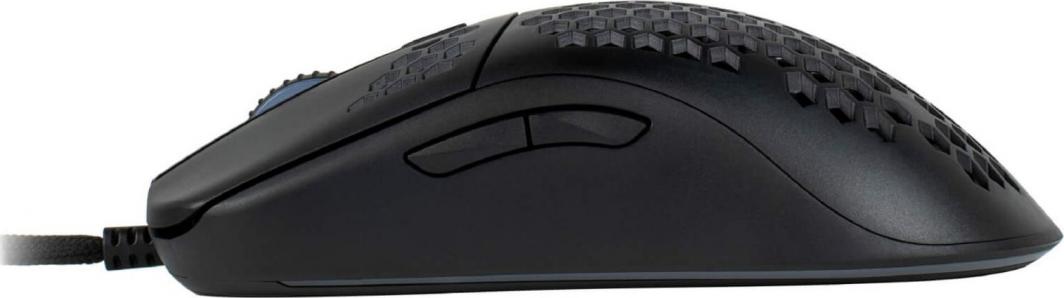 Maus Arozzi Favo, i zi