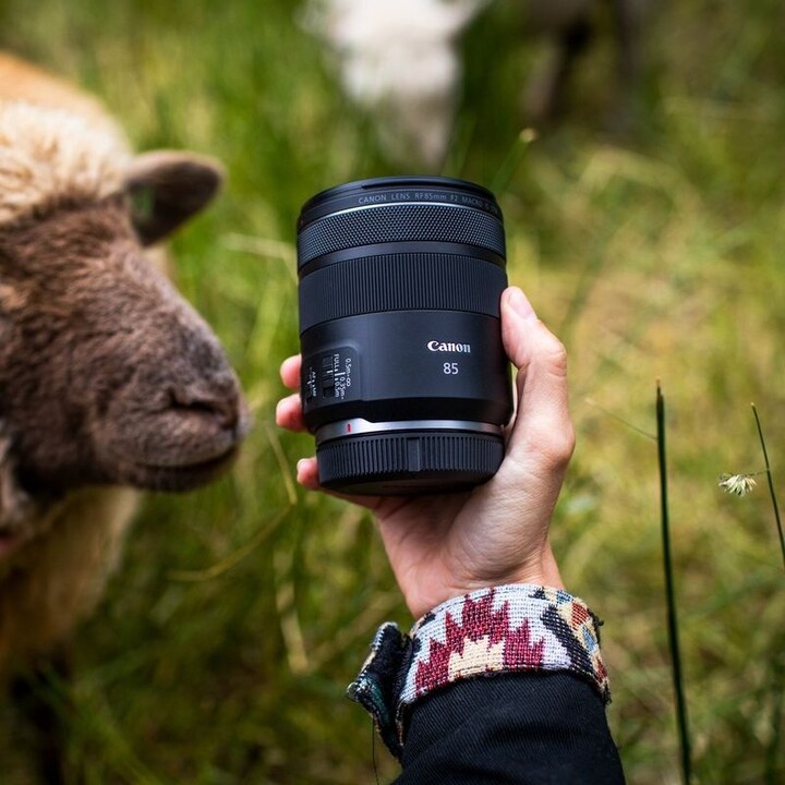 Lente Canon RF 85mm F2 MACRO IS STM