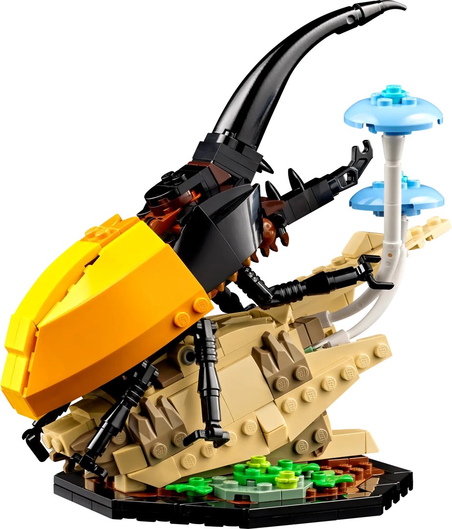 Set LEGO Ideas Insect Collection 21342, modele dekorative, për të rritur dhe fëmijë