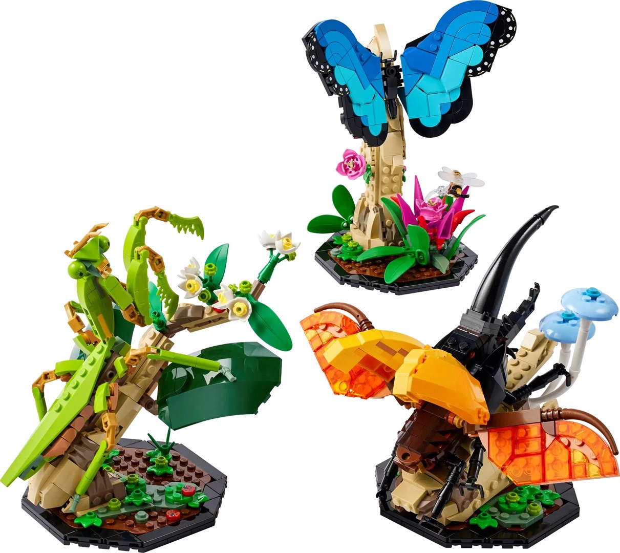 Set LEGO Ideas Insect Collection 21342, modele dekorative, për të rritur dhe fëmijë