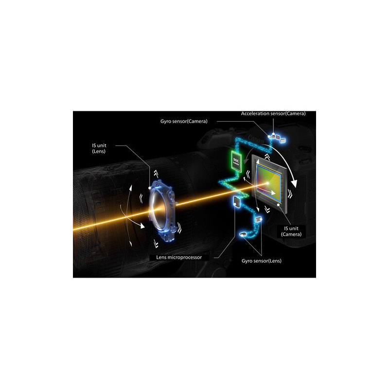 Canon EOS R5 Mark II Body