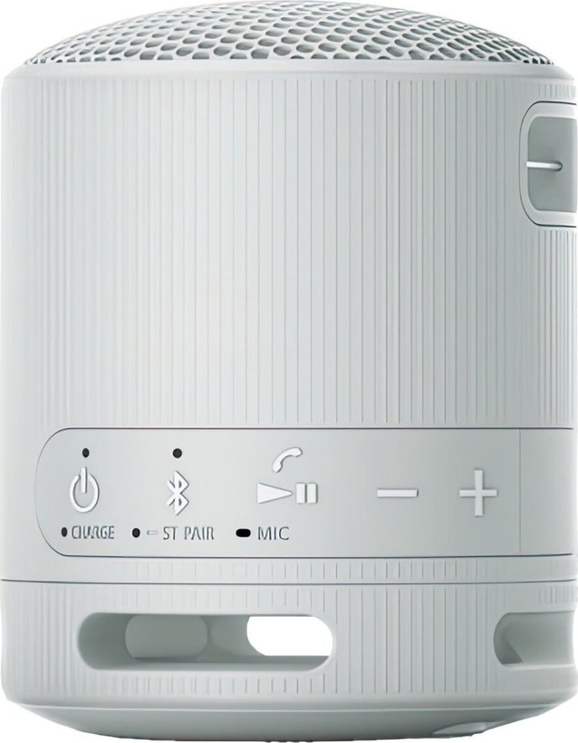 Altoparlant portativ Sony SRS XB100, Bluetooth, rezistent ndaj ujit, gri