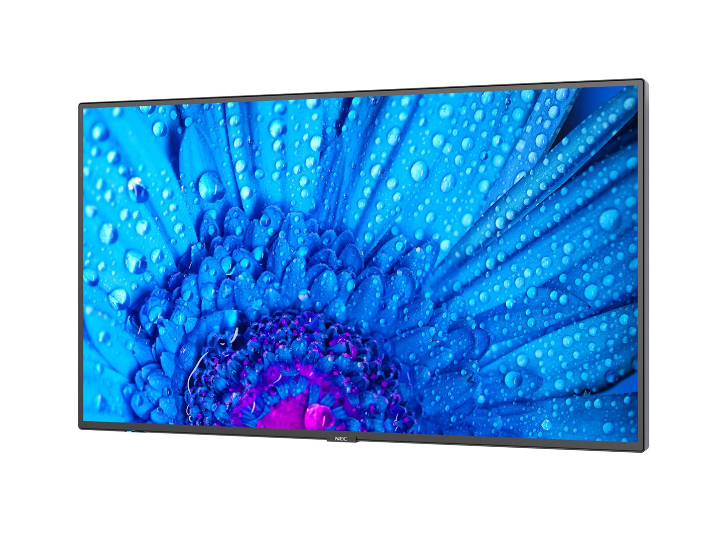 Monitor NEC MultiSync M651, 65", 4K Ultra HD, i zi