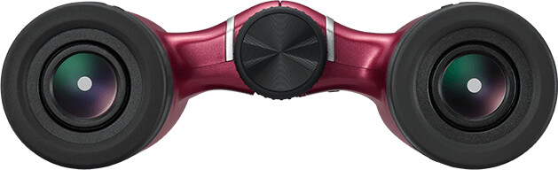 Dylbi Nikon CF Aculon T02 8x21, të kuqe