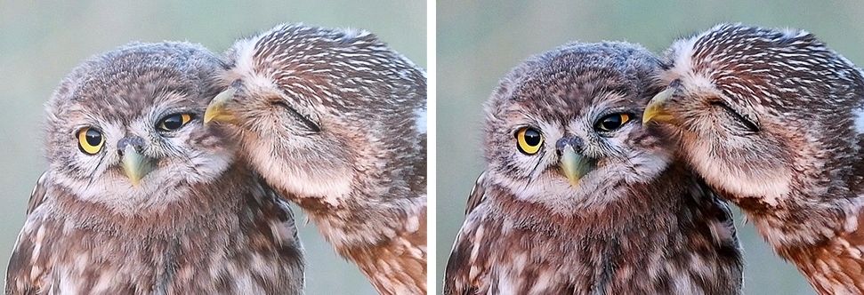 Adapter objektivi K&amp;F Concept KF06.101, Nikon AI AIS AF AF S në Fujifilm X, metalik