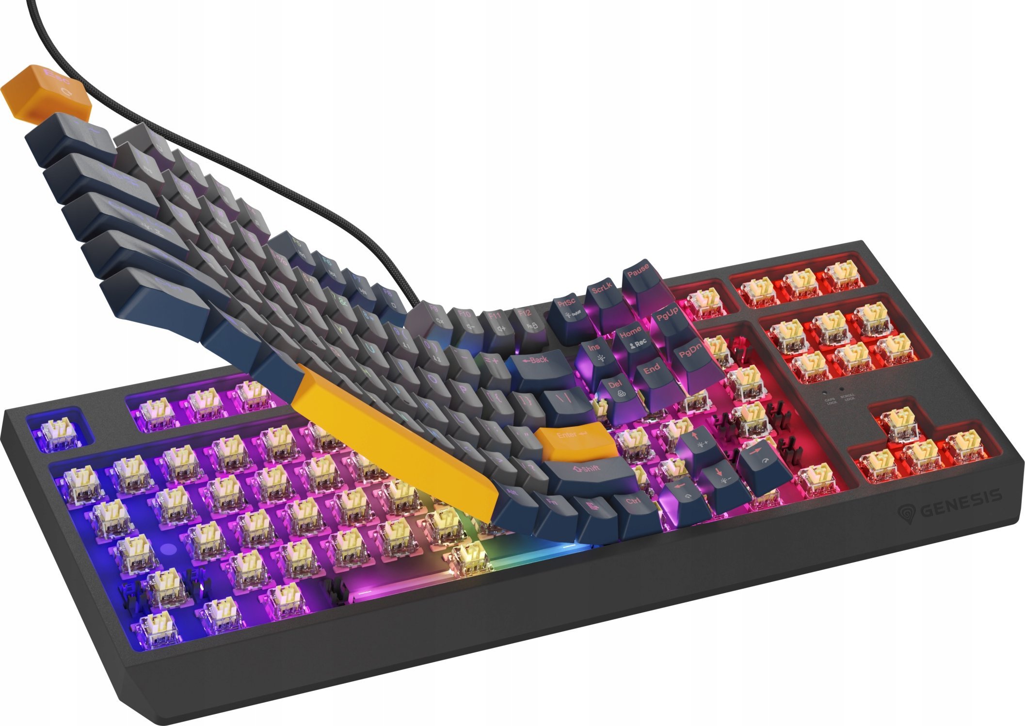 Tastierë mekanike gaming Genesis Thor 230 TKL, RGB, Outemu Panda Naval Blue, me kabllo USB 2