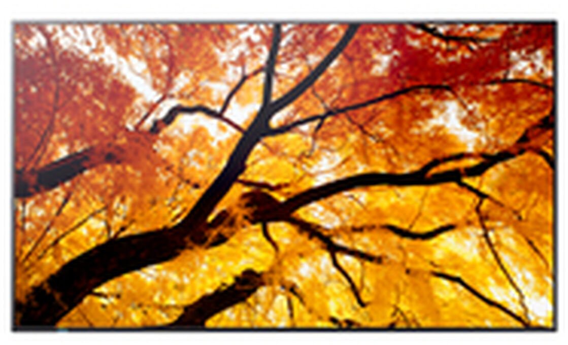 Monitor profesional Sharp MultiSync M432, 43", 4K Ultra HD, i zi