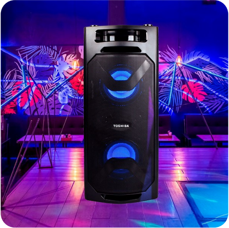 Altoparlant Bluetooth Toshiba TY-ASC66