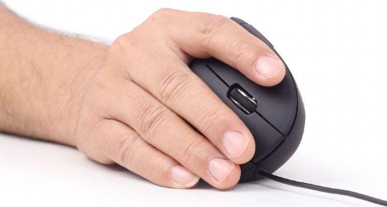 Maus Gembird MUS-ERGO-01, me kabllo, USB, i zi