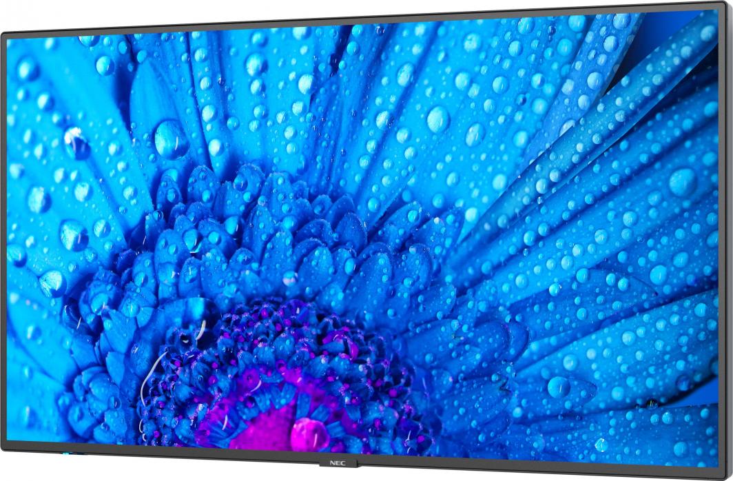 Monitor NEC MultiSync M491, 49'', UHD 4K, 60Hz, i zi