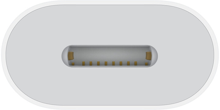 Apple USB-C to Lightning Adapter