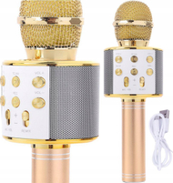 Set karaoke me altoparlant portativ, 2 mikrofona, me bateri, i zi