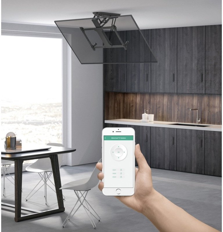 Mbajtëse tavani dhe muri Techly ICA PLB 546M, për monitor ose TV, e zezë