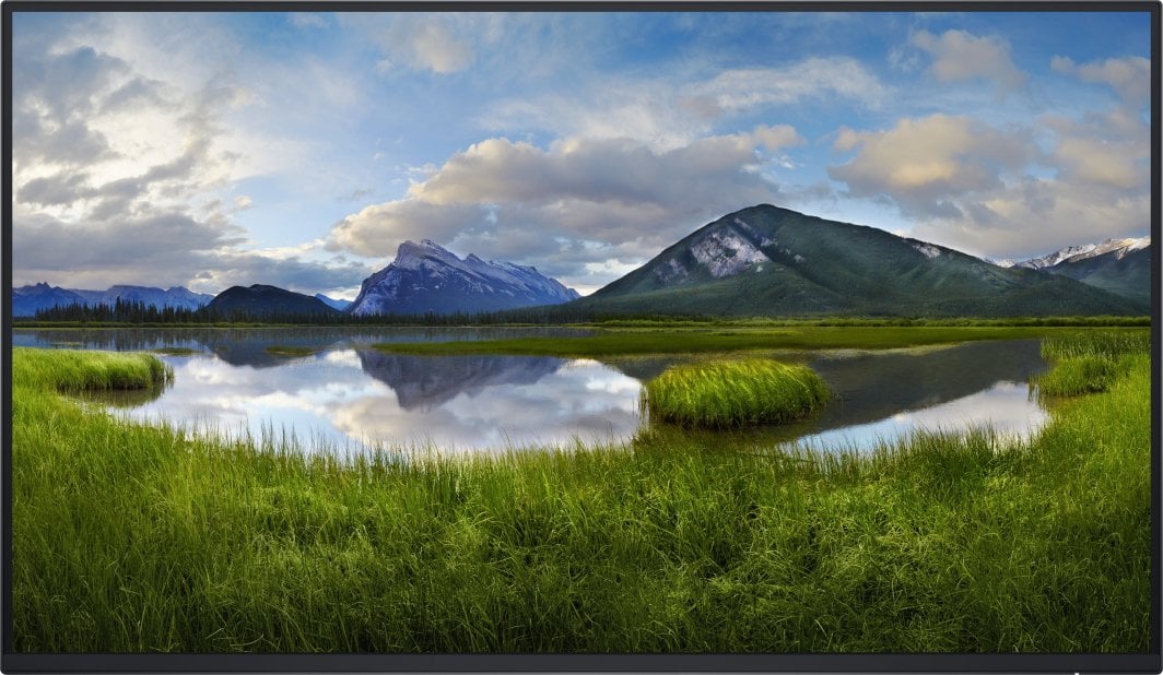 Monitor Dell P2725H, 27", FHD, i zi