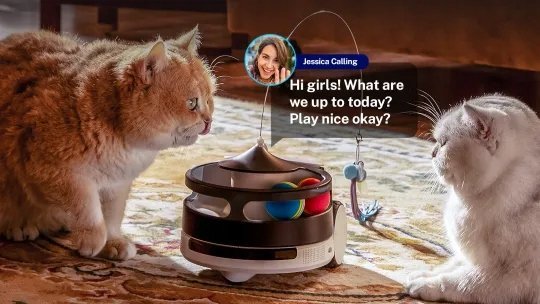Robot inteligjent për kafshë Enabot Ea0405 Rola Petpal, interaktiv, i bardhë dhe i zi
