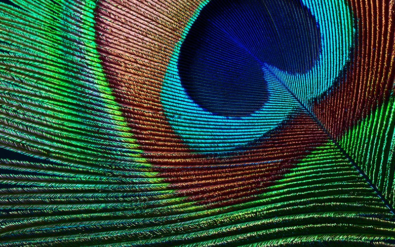 Projektor EPSON EH-TW7000, 4K PRO-UHD, 3000 ANSI, 3LCD, i bardhë