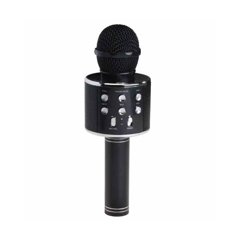 Denver Party Karaoke Mic (Black)