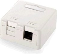 Panel Equip F 2 Keystone Socket 125122, për 2 module, i bardhë