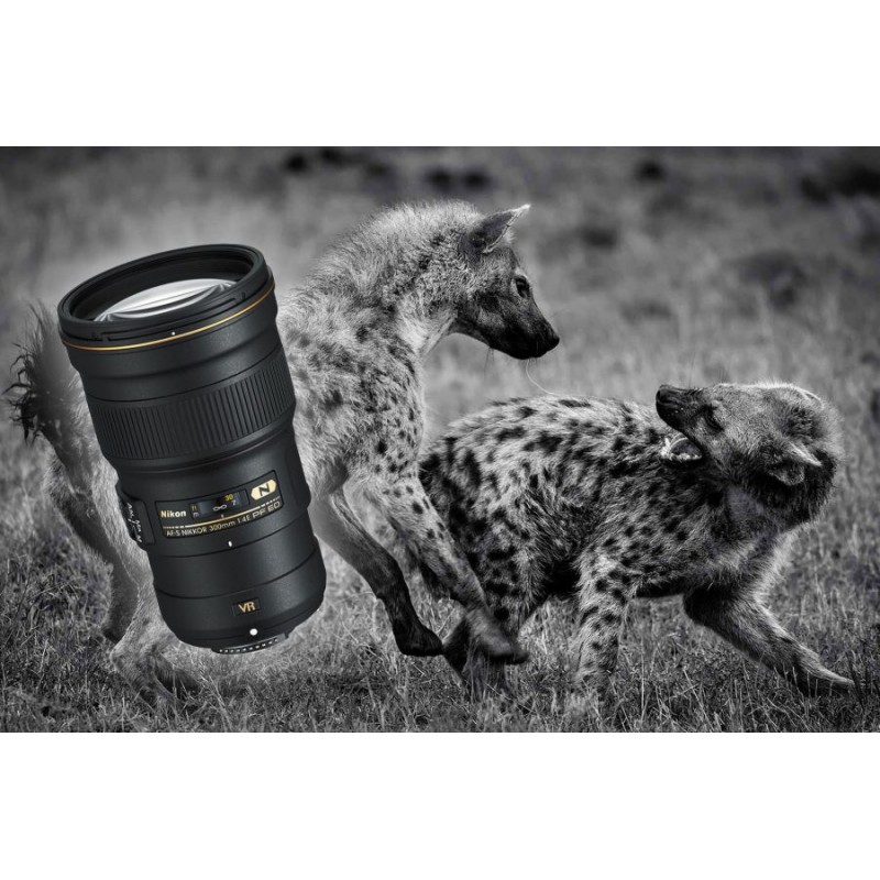 Lente NIKKOR AF-S 300mm f/4E PF ED VR