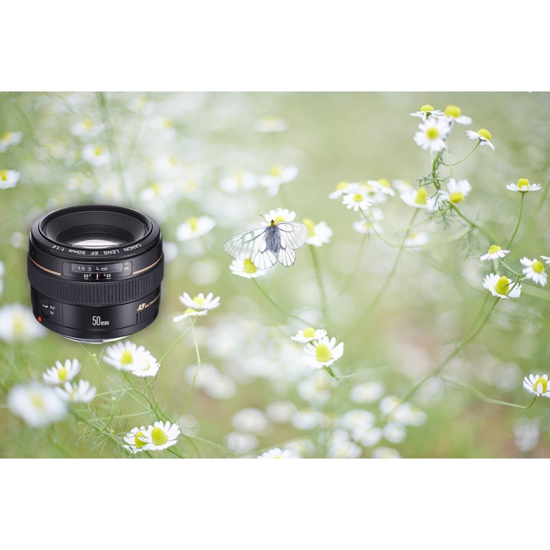 Canon EF 50mm f/1.4 USM