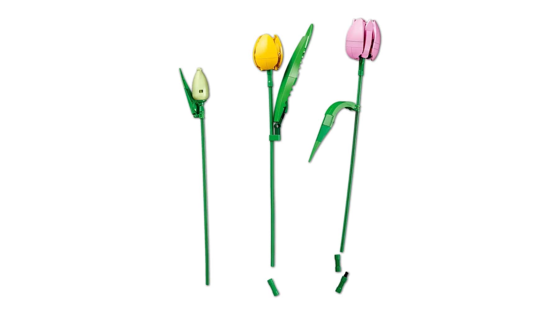 Set LEGO Tulip Bouquet 11501, buqetë dekorative, shumëngjyrëshe