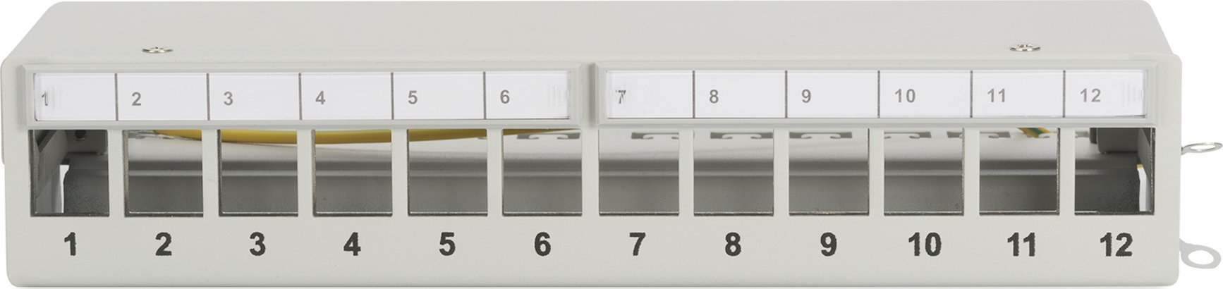 Пач панел за биро Digitus, 12 порти, RJ45, црн