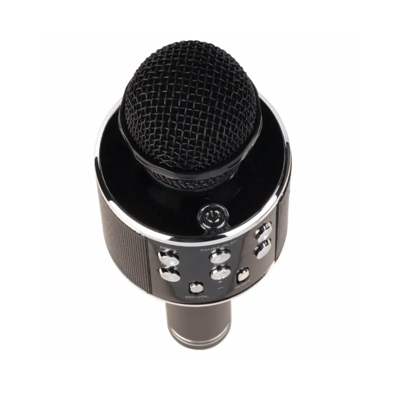Denver Party Karaoke Mic (Black)