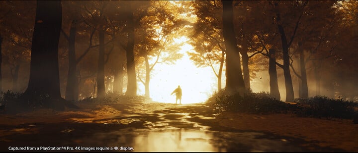 Videolojë Ghost of Tsushima - Director's Cut (PS5)