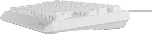 Tastierë mekanike wireless Genesis Thor 230 TKL, RGB, Hot Swap, e bardhë