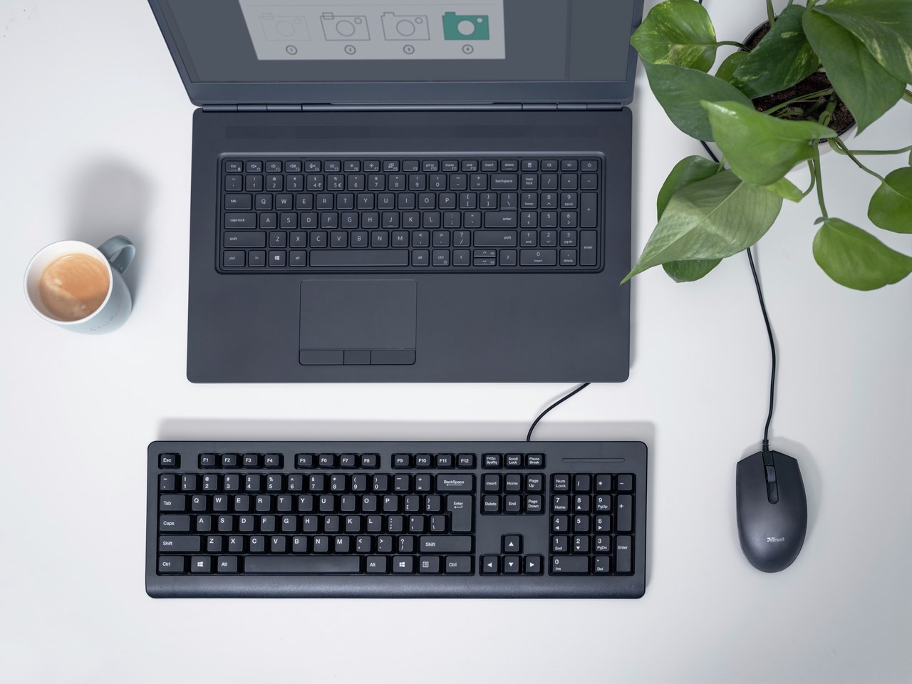 Maus Trust TM-101, 1200 DPI, USB, i zi