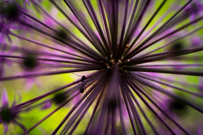 Objektiv Tamron 50-400mm Di III VC VXD, f/4.5-6.3, për Nikon Z, i zi