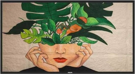 Ekran digjital Philips Signage Solutions D-Line 50", 4K Ultra HD, 500 cd/m², i zi