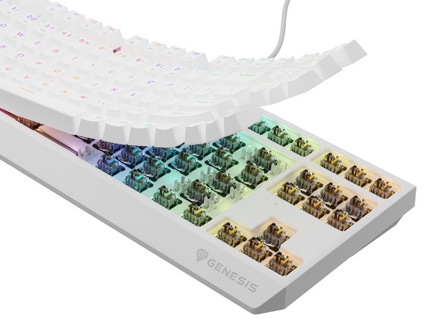 Tastierë Genesis Thor 230 TKL RGB Outemu Brown, e bardhë