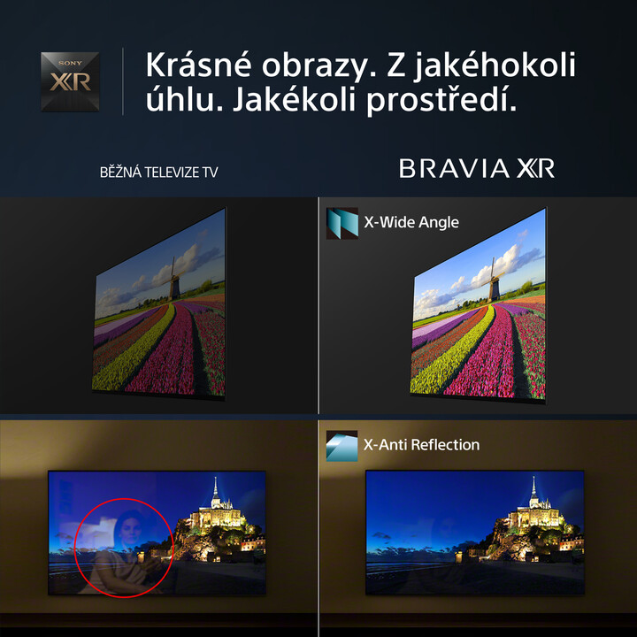 Televizor Sony Bravia XR-65X95L, 65" (165cm), i zi