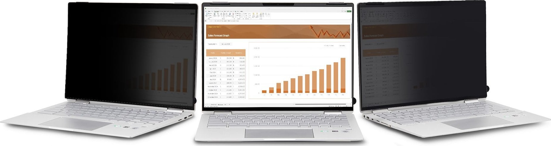 Filtër privatësie StarTech.com, 13.5", raport 3:2, anti-reflektues
