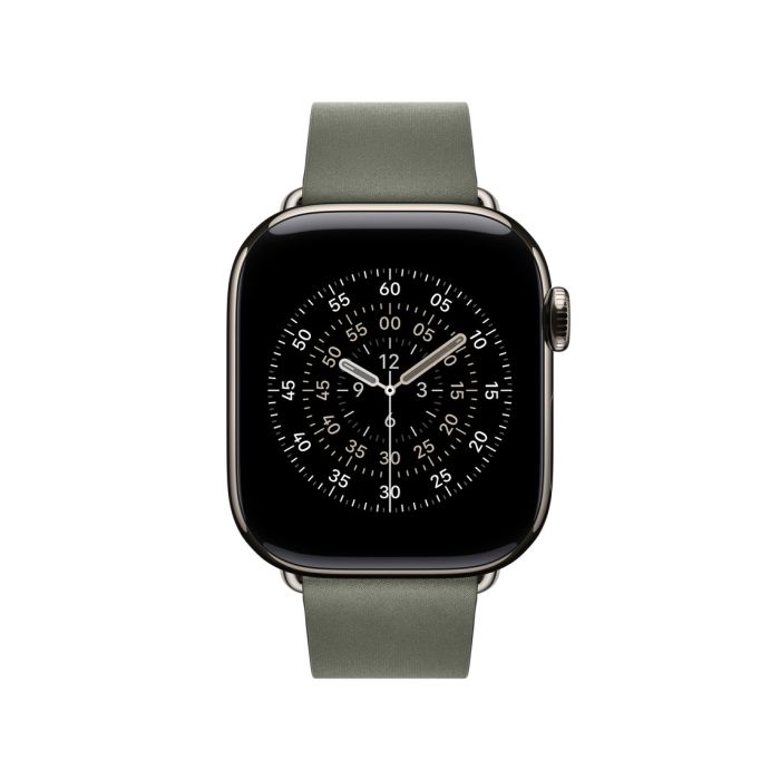 Apple Watch 42mm Modern Buckle, Sage Gray Modern Buckle, Medium 3