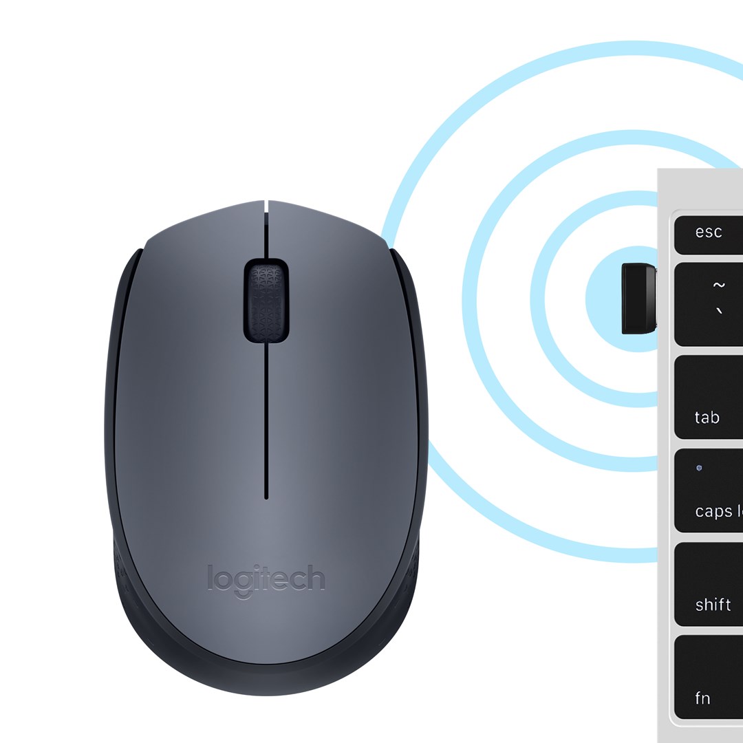 Maus Logitech M170 Wireless