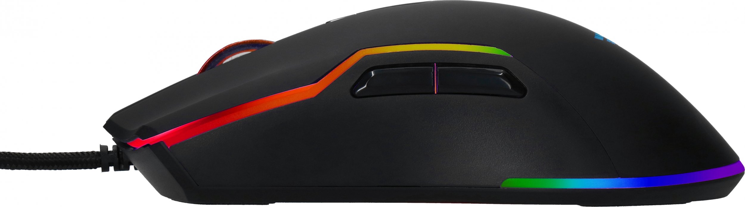 Maus Preyon Condor Classic, i zi