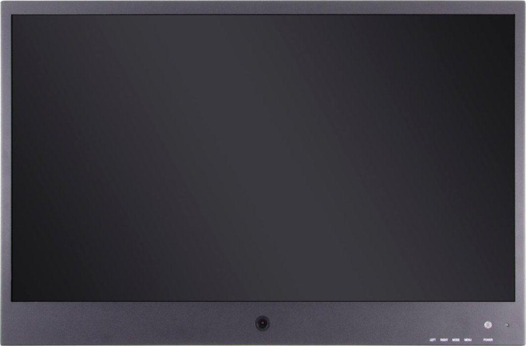 Monitor Ernitec 0070-24122-PVMIP, 22", Full HD