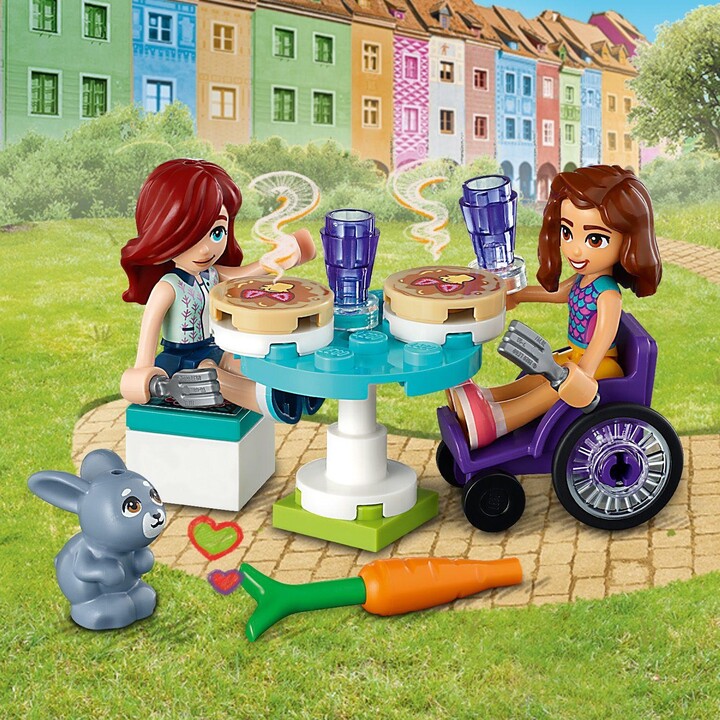 Set LEGO Friends 41753