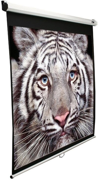 Tabelë motorike për projektor Elite Screens 99" (1: 1)   