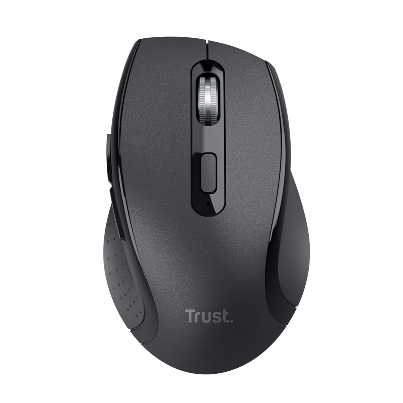 Maus Trust, i zi
