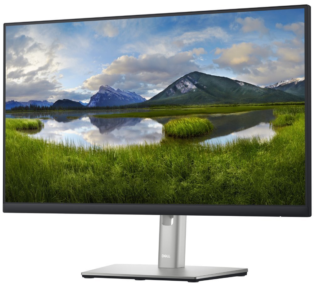 Monitor Dell P2422H LED EEC C (A - G), 23.8", FHD, i zi / argjendtë