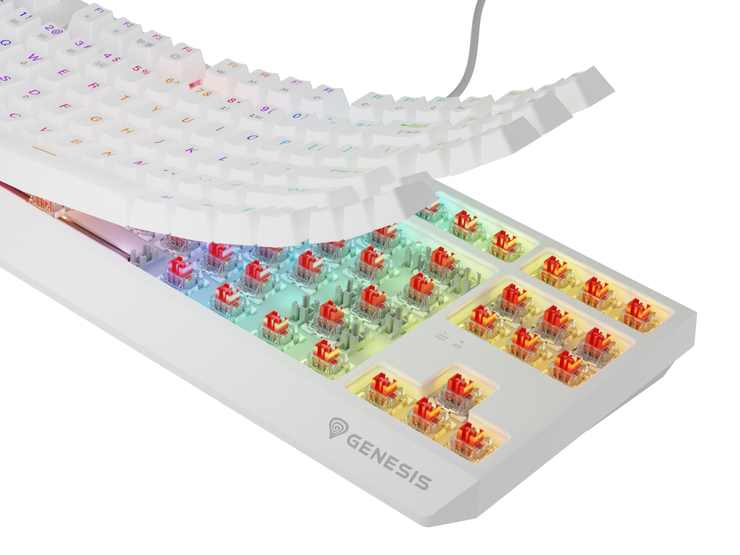 Tastierë wireless mekanike Genesis Thor 230 TKL, RGB, Outemu Red, e bardhë