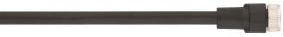 Приклучен кабел LAPP AB C4 5,0PUR M8FS, 5m, 4P, FIELDBUS