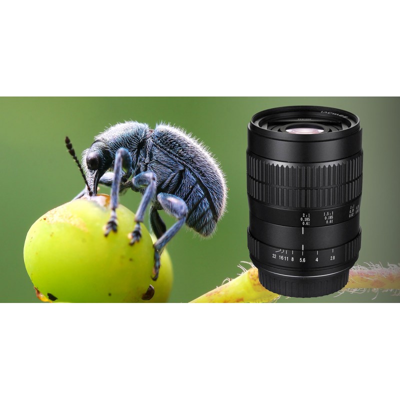 Laowa 60mm f/2.8 Ultra-Macro për Sony E