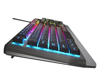 Tastierë Genesis Natec Rhod 300, USB, e hirtë/ e zezë