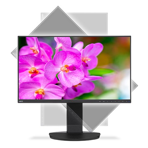 Monitor NEC MultiSync EA241F, 23.8", Full HD, IPS, i zi