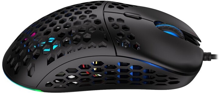 Maus Endorfy LIX, i zi