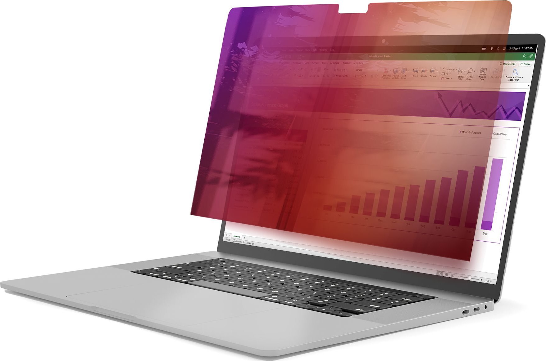 Filtrim privatësie StarTech.com për MacBook Pro 16", Gold, pamje e dyanshme